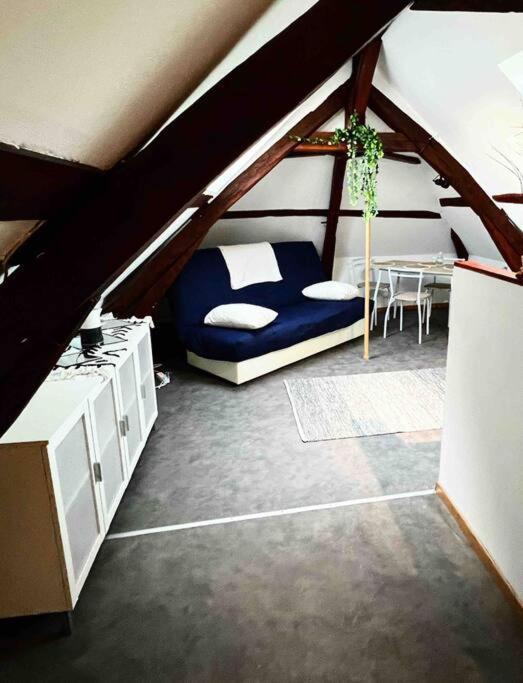 Tres Beau Studio Mansarde, Centre De Bourges Apartment Екстериор снимка